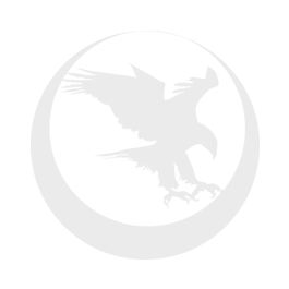 Nighthawk Custom Predator 2026 Edition 9mm - Firearms > Handguns > Semi Auto | Indiana Gun Shop